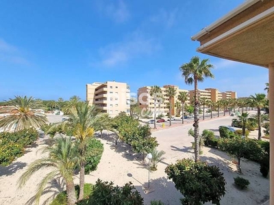 Apartamento en venta en Urbanització de Pinomar en Guardamar Playa por 65.000 €