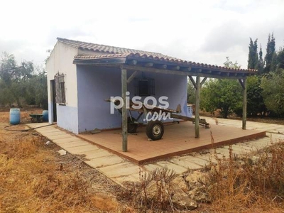 Finca rústica en venta en Benacazón