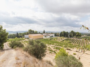 Casa Rústica en venta. Masía con vistas espectaculares, a 10 min de Vilafranca. Vivienda, bodega almacén, casa de invitados, piscina, barbacoa, chimenea.