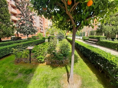 Alquiler Piso Granada. Piso de tres habitaciones en padre claret. Sexta planta con terraza