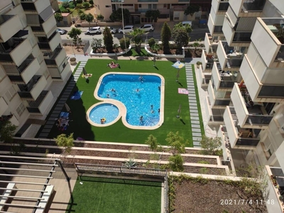 Alquiler Piso Villajoyosa - La Vila Joiosa. Piso de una habitación en gregal. Quinta planta con terraza