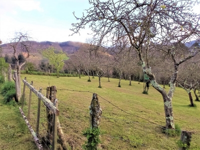 Finca Rústica en Venta en Pravia, Asturias