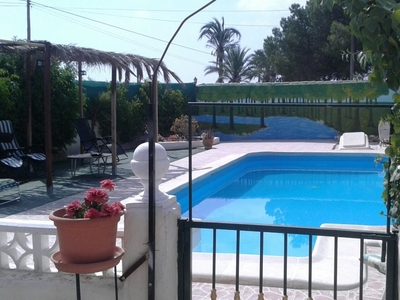 Venta de casa con piscina en Torrellano (Elche (Elx)), TORRELLANO ALTO