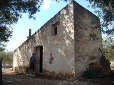 Casa finca de olivos con casa de campo en Camarles
