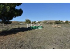 Finca rústica en venta en Calle Huertas de Santa Cruz