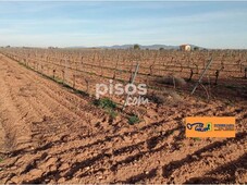 Finca rústica en venta en Carretera Daimiel