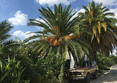 Cortijo La Huerta