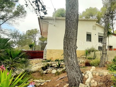Alquiler casa gran jardin arboles y huerto en Olivella