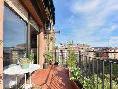 Pet friendly & cozy room in Les Corts