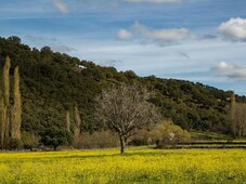 Alquiler Integro en Ávila