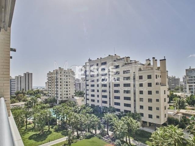 Apartamento en alquiler en Avenida del Maestro José Garberi Serrano, 2