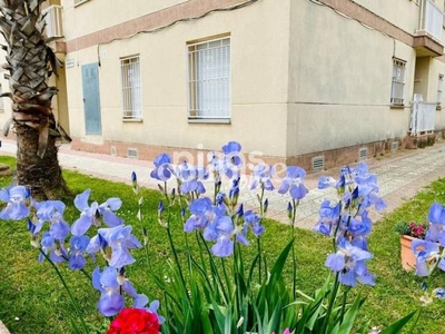 Piso en alquiler en Sant Pere Pescador