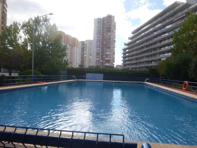 Piso de alquiler en Avenida del Mar, La Pobla de Farnals