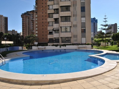 Alquiler de piso con piscina y terraza en Benidorm, Playa levante-Avenida Europa