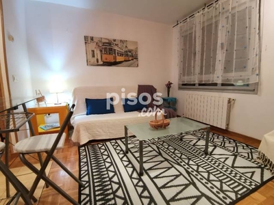 Apartamento en alquiler en Camino de Cantos, 4