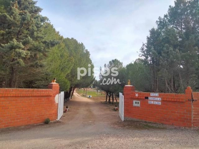 Finca rústica en venta en Calle los Perales