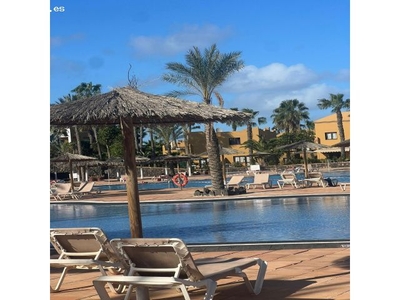 Piso en venta cerca del mar en Corralejo, Fuerteventura. ¡Descubre tu oasis isleño hoy mismo!