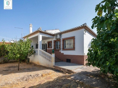 Venta Casa unifamiliar Albolote. 260 m²