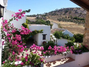 Finca/Casa Rural en venta en Cañete la Real, Málaga