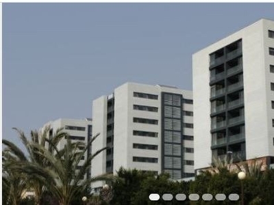 Alquiler de piso con terraza en Gran Vía - Garbinet (Alicante), Gran via - Parque Avenidas