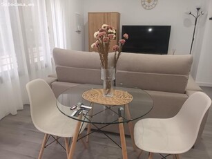 APARTAMENTO EN LA VIÑUELA