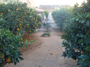 INCREIBLE FINCA CON VIVIENDA EN EL CENTRO DE LA ALJORRA