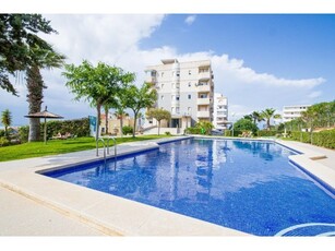 SE ALQUILA ESTUDIO CON PISCINA COMUNITARIA EN TORREVIEJA ( TORREBLANCA) ALICANTE