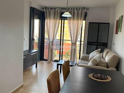 Alquiler Piso Murcia. Piso de una habitación en Avenida Palmeral de Zaraiche. Quinta planta con terraza