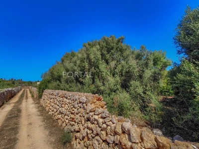 Terreno/Finca Rústica en venta en Torret, San Luis / Sant Lluís, Menorca