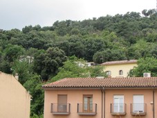 Casa de pueblo en Venta en Arbucies Girona