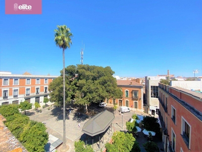 Venta Casa unifamiliar Jerez de la Frontera. Con terraza 695 m²