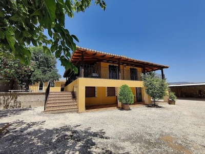 Casa con terreno en Pinoso