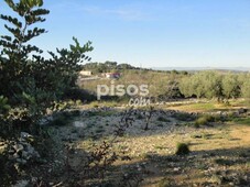 Finca rústica en venta en Càlig