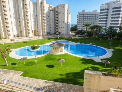 Alquiler Piso El Campello. Piso de dos habitaciones en fondo del. Tercera planta con terraza