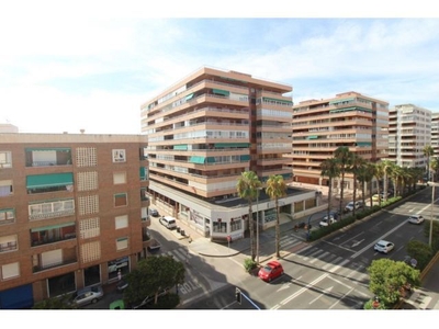 APARTAMENTO DE 3 DORMITORIOS EN TORREVIEJA