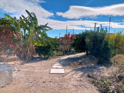 Casa con terreno en Los Montesinos