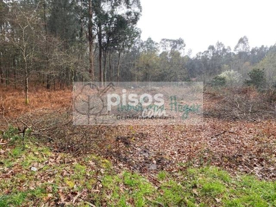 Finca rústica en venta en Salceda de Caselas