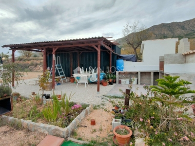 SE VENDE TERRENO RURAL CON CONTENEDOR INSTALADO DE MAS DE 10000 M2 EN EL ALGAYAT-LA ROMANA