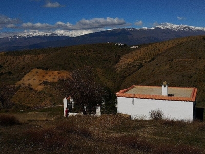 Finca/Casa Rural en venta en Albondón, Granada