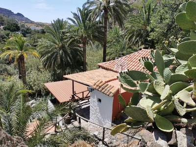 Finca/Casa Rural en venta en Santa Lucía de Tirajana, Gran Canaria