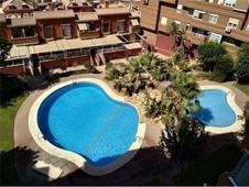 Venta Piso Almería. Piso de tres habitaciones Séptima planta con terraza