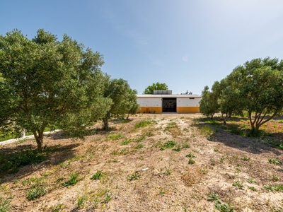 Granja en venta, Chiclana de la Frontera, Cádiz