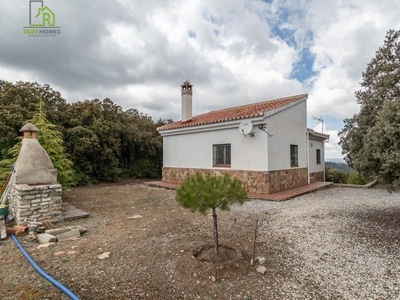 Casa con terreno en Illora