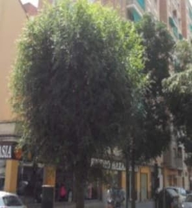 Local en venta en Granada de 592 m²