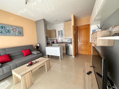 Alquiler apartamento -costa en Urbanización Santa Rosa Torrox