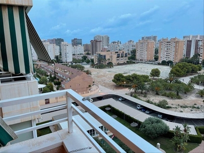 Alquiler Piso Alicante - Alacant. Piso de dos habitaciones en Avenida Las Naciones. Plaza de aparcamiento con terraza