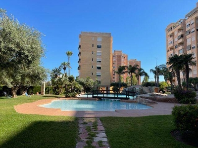 Alquiler Piso Alicante - Alacant. Piso de tres habitaciones en Avenida Las Naciones. Plaza de aparcamiento con terraza