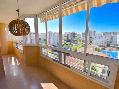 Alquiler Piso Alicante - Alacant. Piso de tres habitaciones en Paises Escandinavos 18. Octava planta con terraza