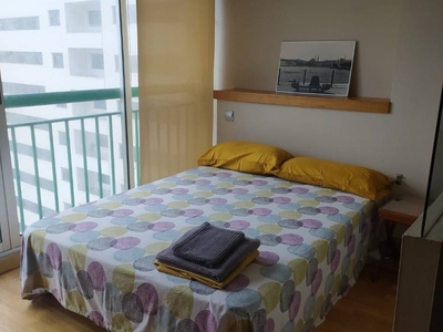 Alquiler Piso Alicante - Alacant. Piso de una habitación en Calle Músico Vicente Spiteri Galiano. Buen estado octava planta con balcón calefacción individual