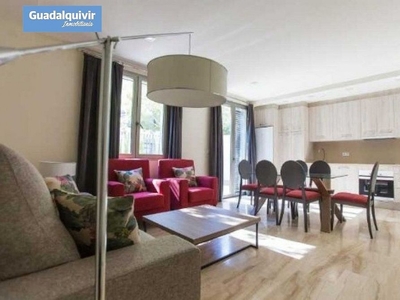 Alquiler de piso en Nervión de 1 habitación con muebles y aire acondicionado